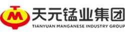 寧夏天元錳業集團有限公司